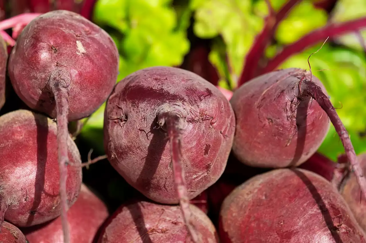 Veganismus und sportliche Leistung: Kann man mit pflanzlicher Ernährung Muskeln aufbauen?